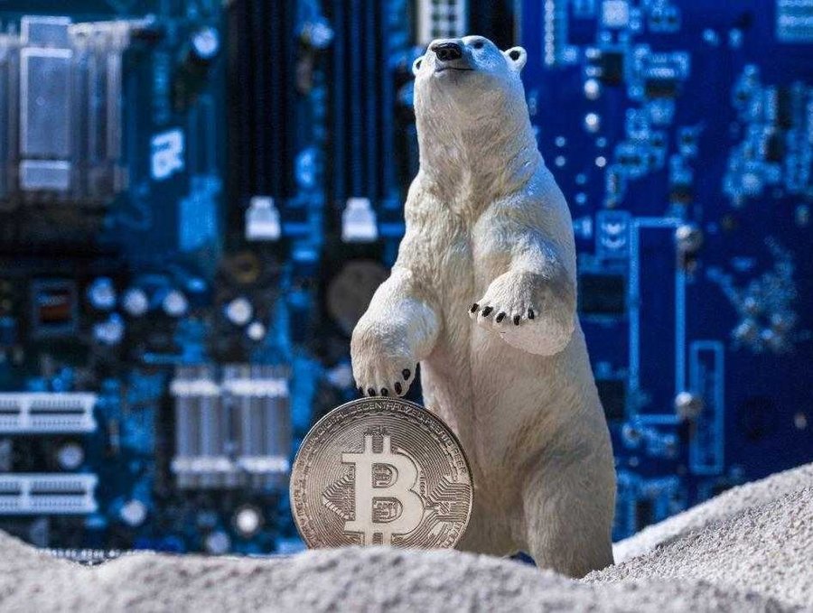 Understanding crypto winter
